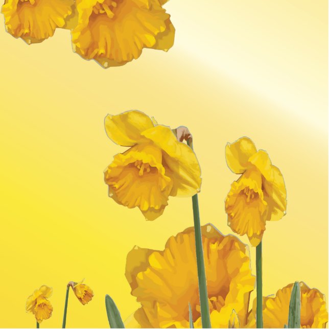 Ornement Photo Sculpture Jaune Narcisse Daffodique (Devant)
