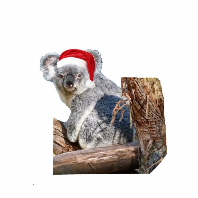 Ornement Photo Sculpture Koala Père Noël (Devant)