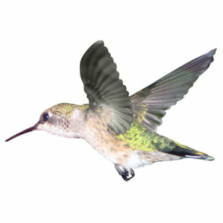 Ornement Photo Sculpture ornement Rubis-throated du colibri 2x3