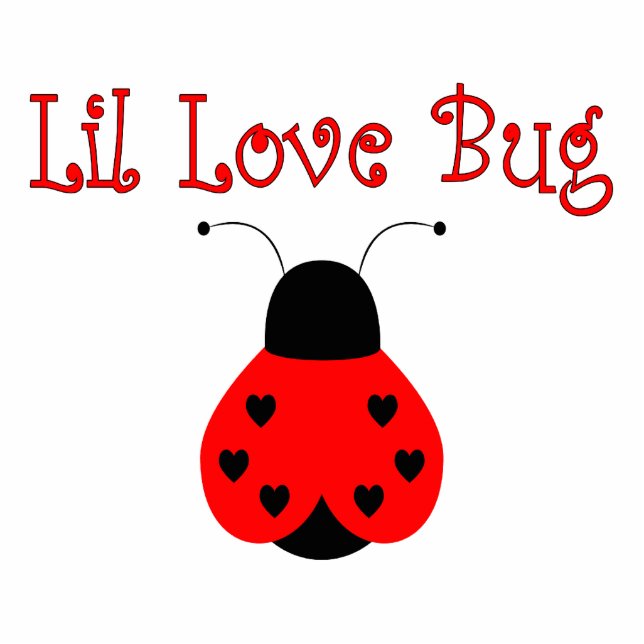 Ornement Photo Sculpture Petit Amour Bug Coeur Ladybug Ornement (Devant)