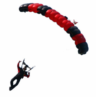 Ornement Photo Sculpture Ross_Canopy_T