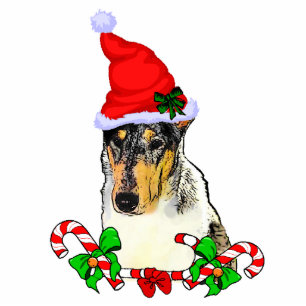 Ornement Photo Sculpture Smooth Collie Cadeaux de Noël Ornement