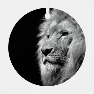 Ornement Portrait de Lion noir blanc - Photographie d'anima