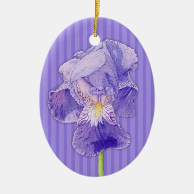 Ornement pourpre d'Iris (Devant)