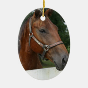 Ornement quart de photo de cheval