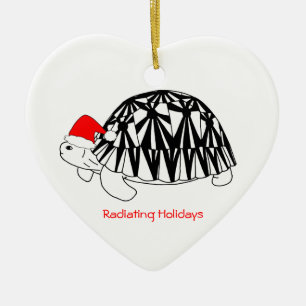 Ornement rayonné de tortue