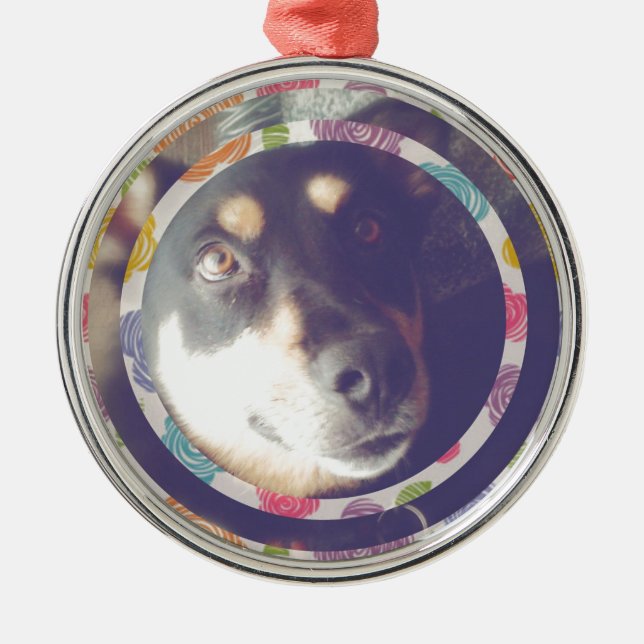 Ornement Rond Argenté art numérique de chien (Devant)