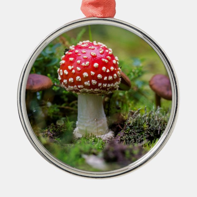 Ornement Rond Argenté Beauté d'automne (Devant)