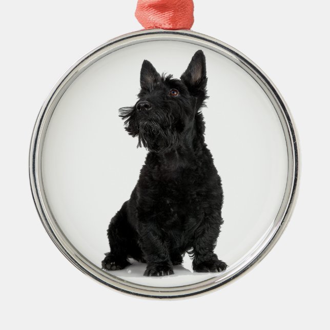 Ornement Rond Argenté Black Scottish Terrier (Devant)