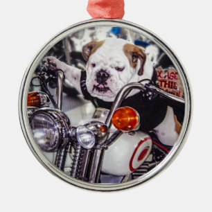 Ornement Rond Argenté Bouledogue sur la moto