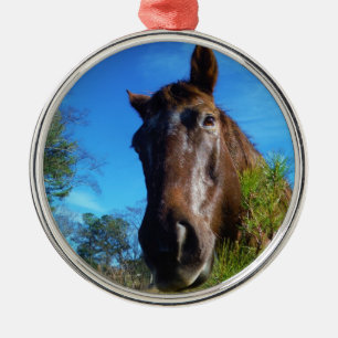 Ornement Rond Argenté Brown et crème Couleur Cheval bleu ciel