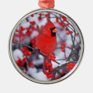 Ornement Rond Argenté Cardinal du Nord, Hiver, IL