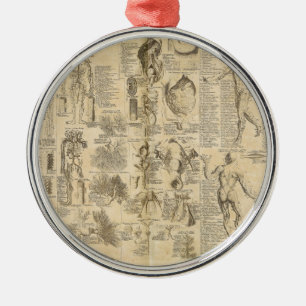 Ornement Rond Argenté Carte anatomique de Cyclopaedia 1728