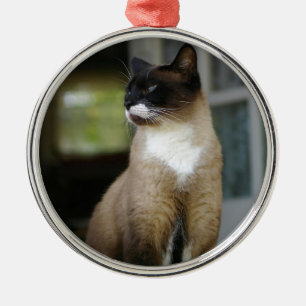 Ornement Rond Argenté Chat siamois sur le porche
