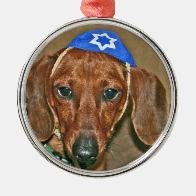 Ornement Rond Argenté Doxie juif (Devant)