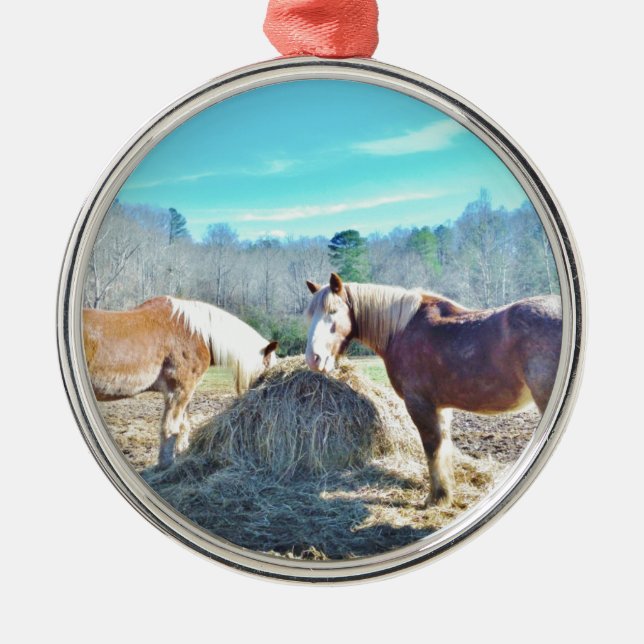 Ornement Rond Argenté Ébauche secourue Chevaux mangeant foin (Devant)