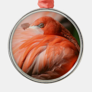 Ornement Rond Argenté Flamant rose
