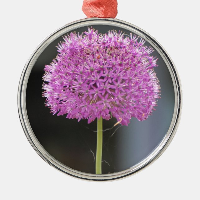 Ornement Rond Argenté Fleurs pour tous (Devant)