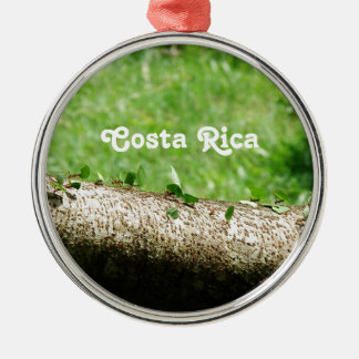Ornement Rond Argenté Fourmis de coupeur de feuille en le Costa Rica