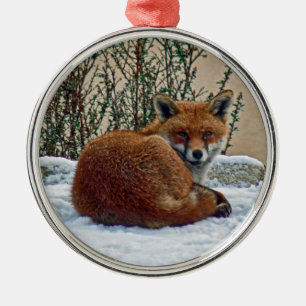 Ornement Rond Argenté Fox dans l'ornement de neige
