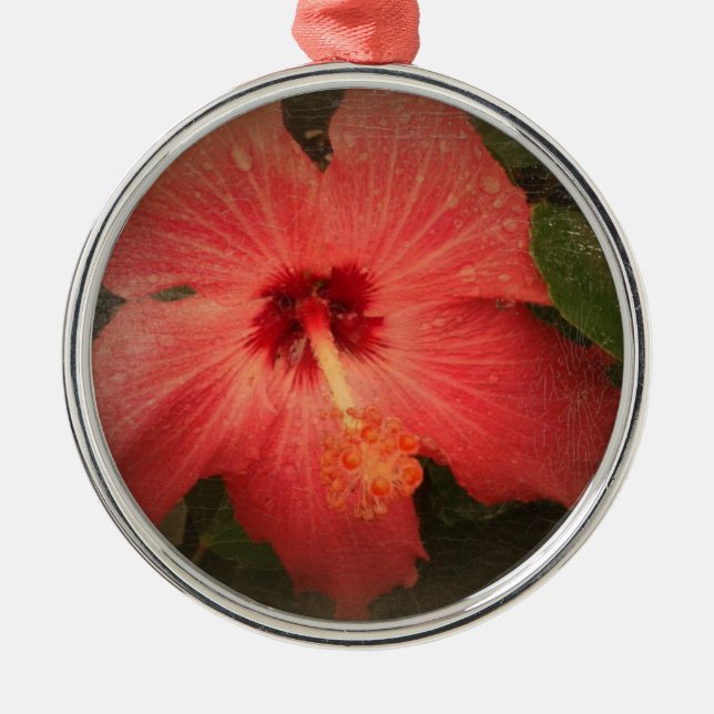 Ornement Rond Argenté Hibiscus Grunge (Devant)