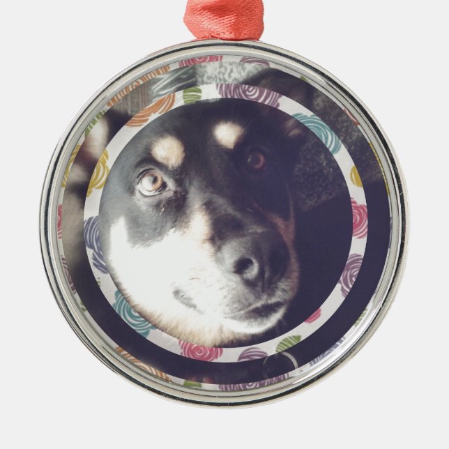 Ornement Rond Argenté Joyeux chien (Devant)