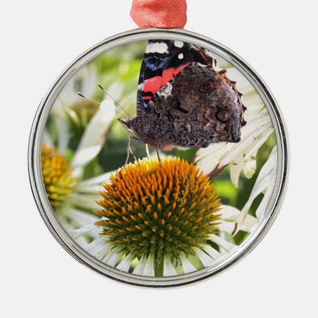 Ornement Rond Argenté L'amiral papillon sur la fleur (Devant)
