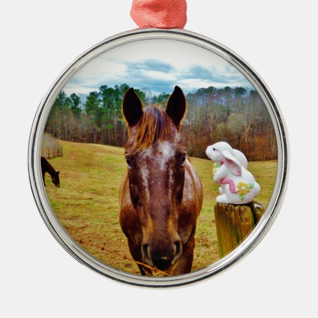 Ornement Rond Argenté Lapin de Pâques et cheval Brown (Devant)