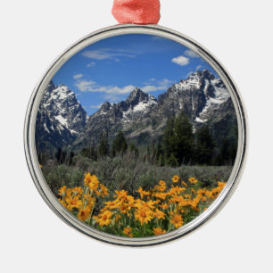 Ornement Rond Argenté Le Parc national de Grand Teton