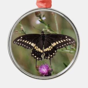 Ornement Rond Argenté Machaon noir