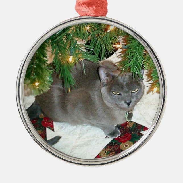 Ornement Rond Argenté Noël bleu de Birman (Devant)