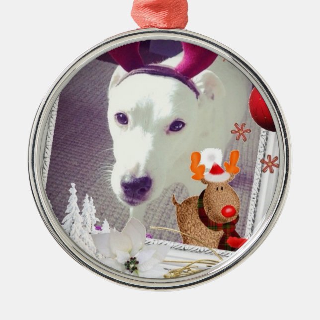 Ornement Rond Argenté Noël de Jack Russell (Devant)