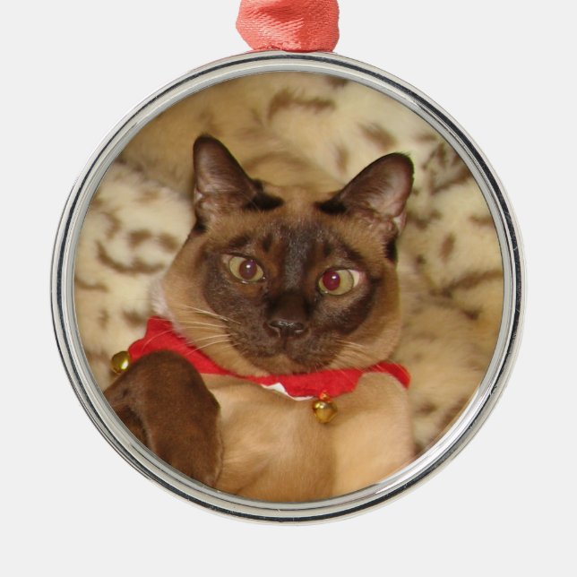 Ornement Rond Argenté Noël Tonkinese 2 de FPG - (Devant)