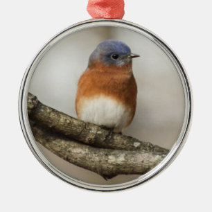 Ornement Rond Argenté Oiseau bleu oriental
