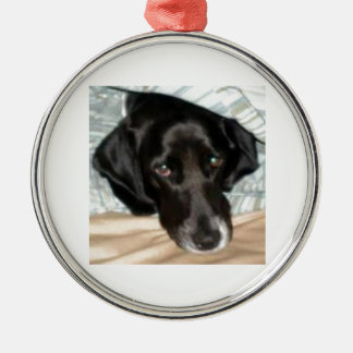 Ornement Rond Argenté Oreo le chien d'épagneul de springer anglais
