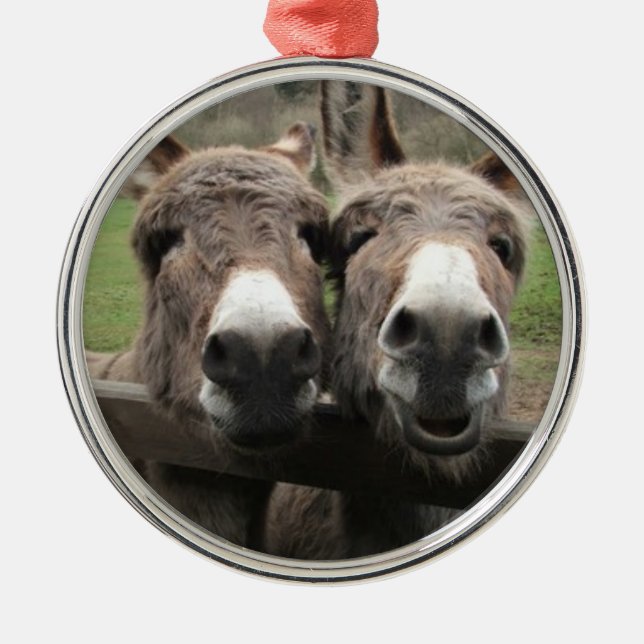 ORNEMENT ROND ARGENTÉ ORNAMENT DE PAIRE DON TWIN (Devant)
