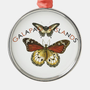 Ornement Rond Argenté Papillon d'îles de Galapagos
