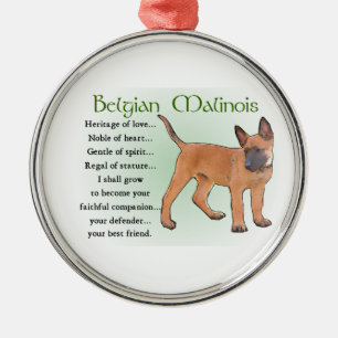 Ornement Rond Argenté Patrimoine Malinois belge de l'Amour