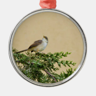 Ornement Rond Argenté Photographie charmante d'un oiseau moineau