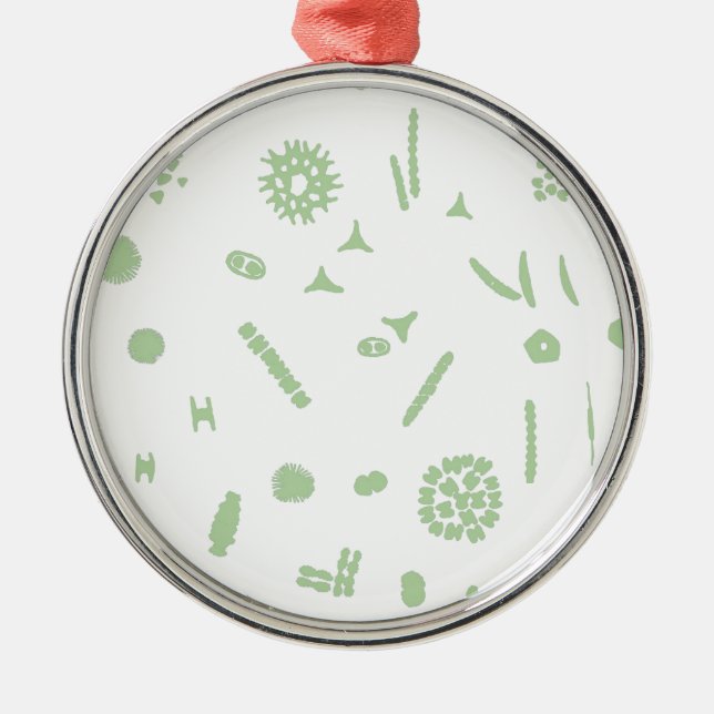 Ornement Rond Argenté plant plankton (Devant)