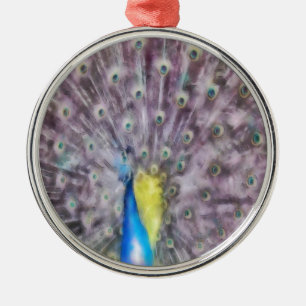 Ornement Rond Argenté Plumes fines Peacock Mating Plumage