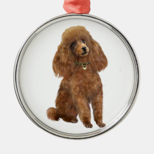 Ornement Rond Argenté Poodle - Apricot