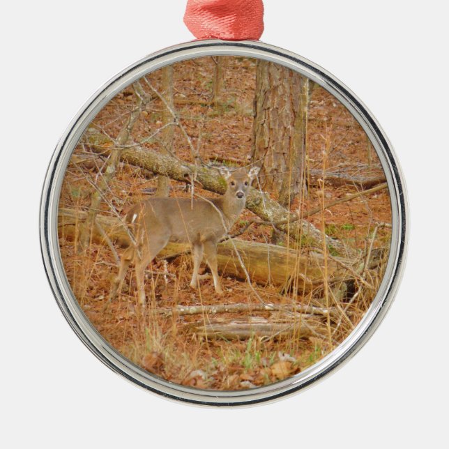 Ornement Rond Argenté Premier hiver du Cerf de Bébé (Devant)