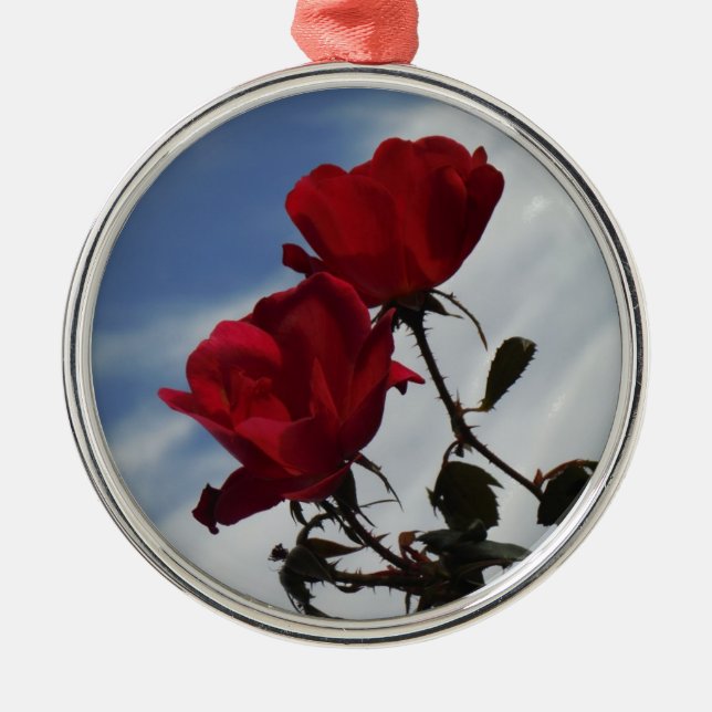 Ornement Rond Argenté Roses rouges contre un ciel bleu vif (Devant)