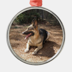 Ornement Rond Argenté shepard allemand 2
