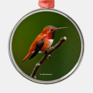 Ornement Rond Argenté Stunning Ruf Hummingbird on the Cherry Tree