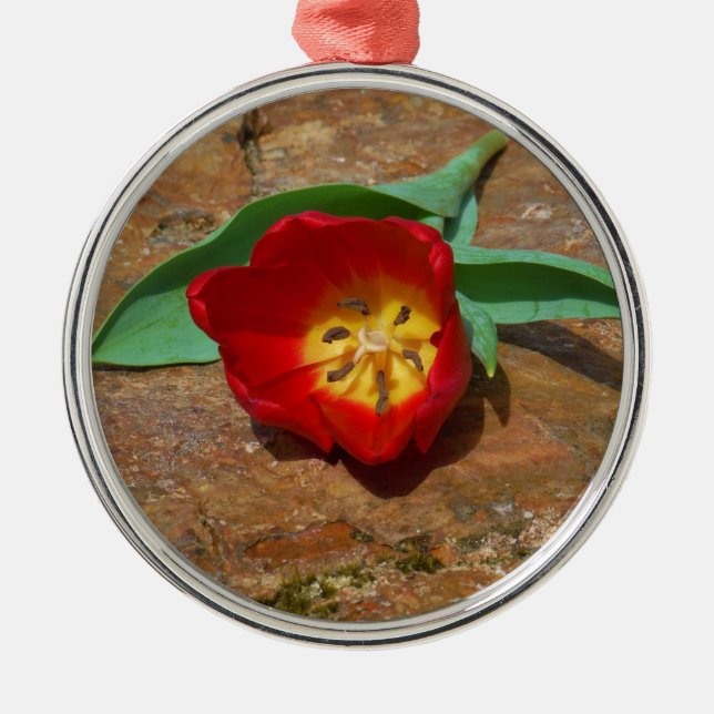 Ornement Rond Argenté Tulipe rouge du printemps (Devant)