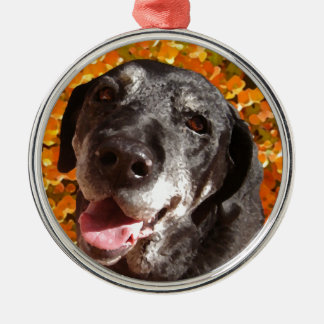 Ornement Rond Argenté Vieux Labrador noir