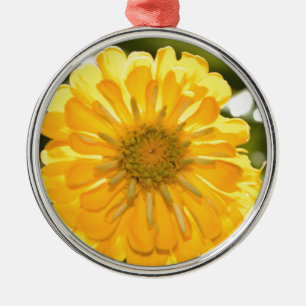 Ornement Rond Argenté Zinnia jaune, marguerite jaune, fleur jaune
