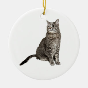 Ornement rond de chats abyssiniques